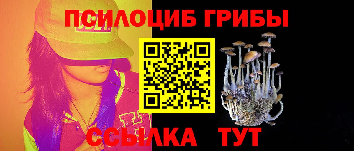 Псилоцибиновые грибы мухоморы  Вход с VPN  Галлюциногенные грибы мухоморы  Рославль 